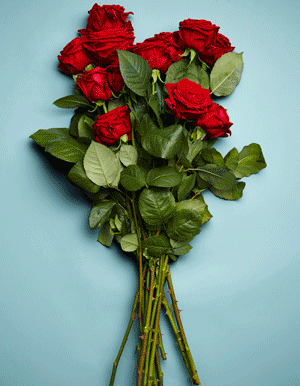 Gif for halloween still ife shoot for Asos. Gloved hand reaching for a bunch of roses